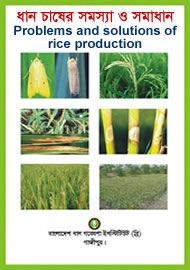 Problems and solutions of rice production