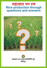 Questions and answers in rice production