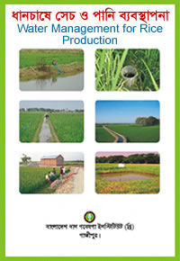Water management for rice production