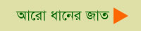 BRRI Rice varieties