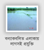 Rice technology in flood area